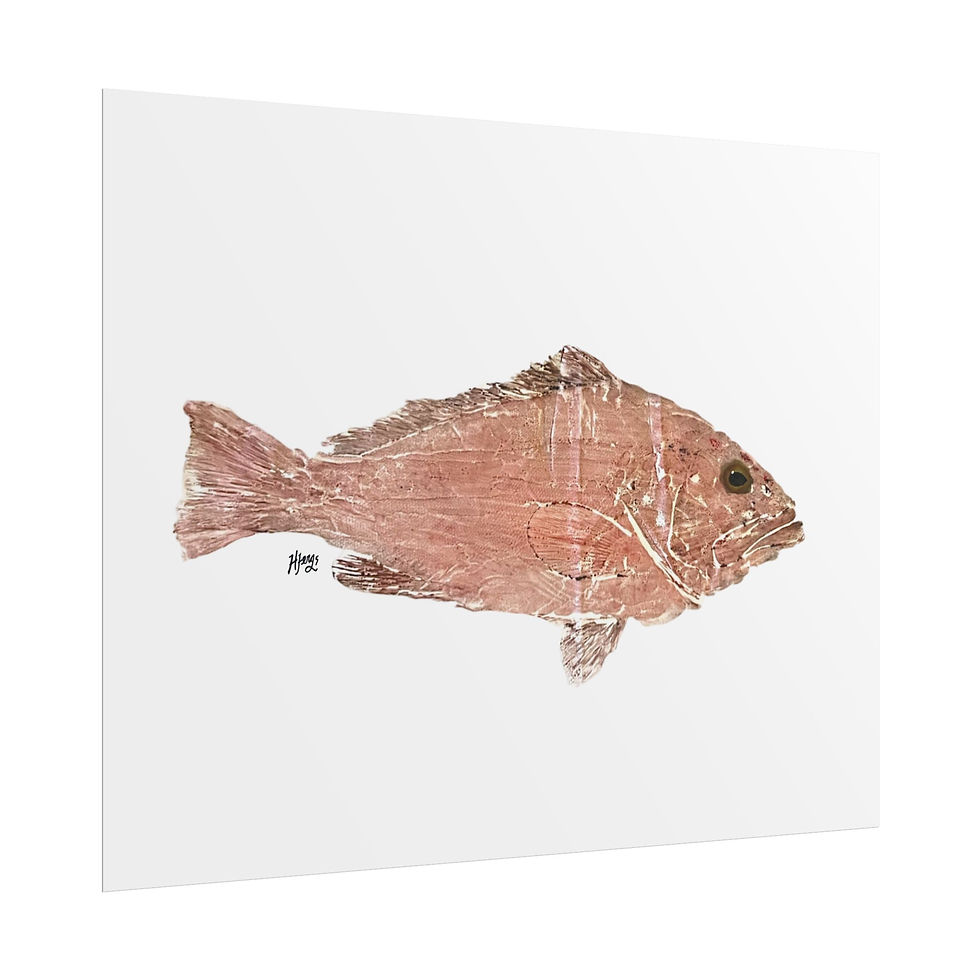 Thumbnail: Red Grouper Print