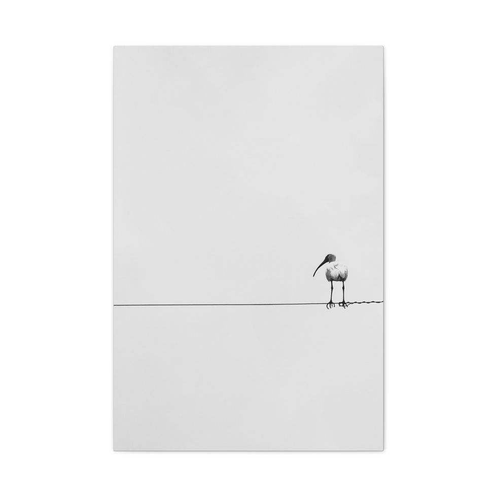 Thumbnail: Bird On A Wire Matte Canvas Print Black and White Photography Minimalist Nature