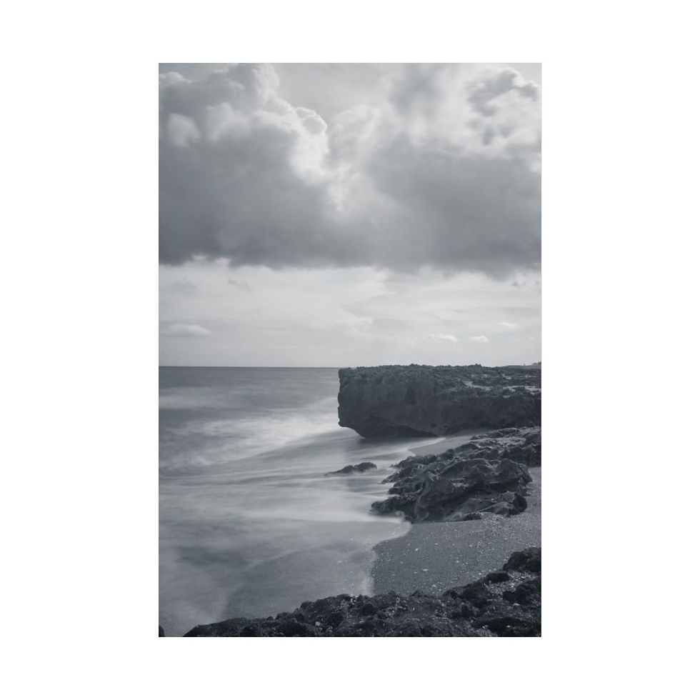 Thumbnail: Blowing Rocks Beach Preserve Matte Poster Black and White Nature Photography