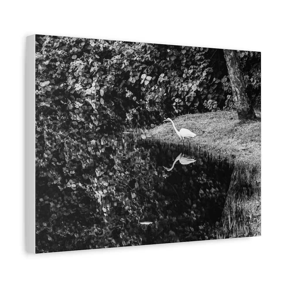 Thumbnail: A Bird Named Narcissus Matte Canvas Print  Black and White Nature Photography