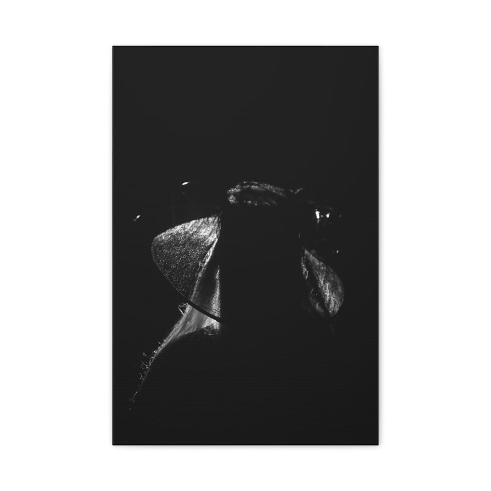 Thumbnail: Victorian Woman in A Large Hat Silhouette Matte Canvas Print Black and White