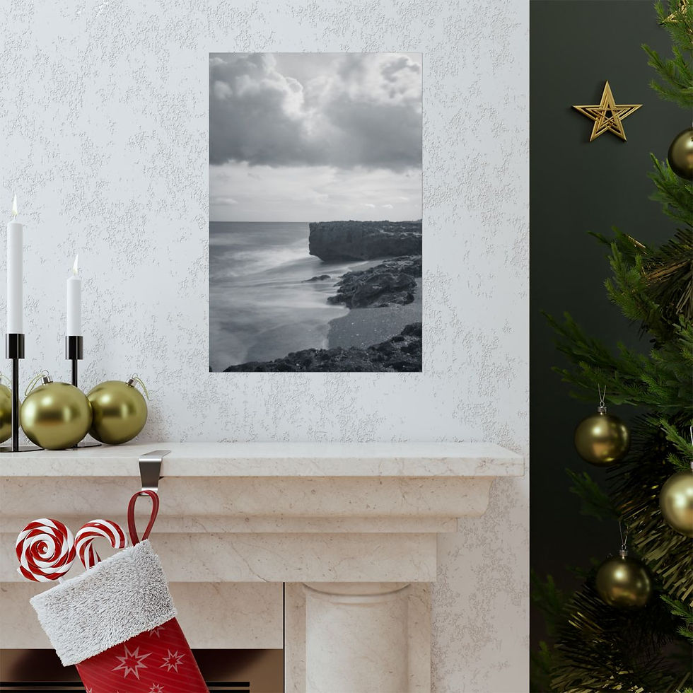 Thumbnail: Blowing Rocks Beach Preserve Matte Poster Black and White Nature Photography