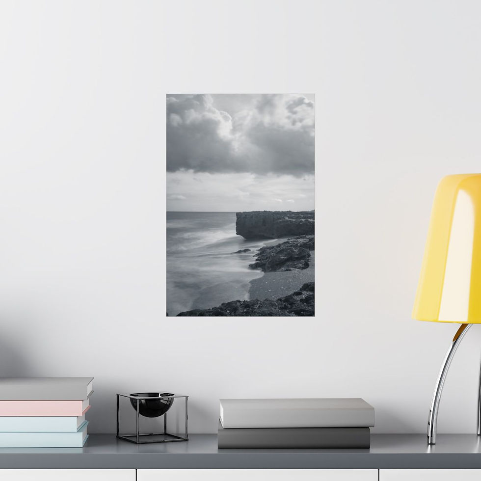 Florida travel photography Blowing rocks poster