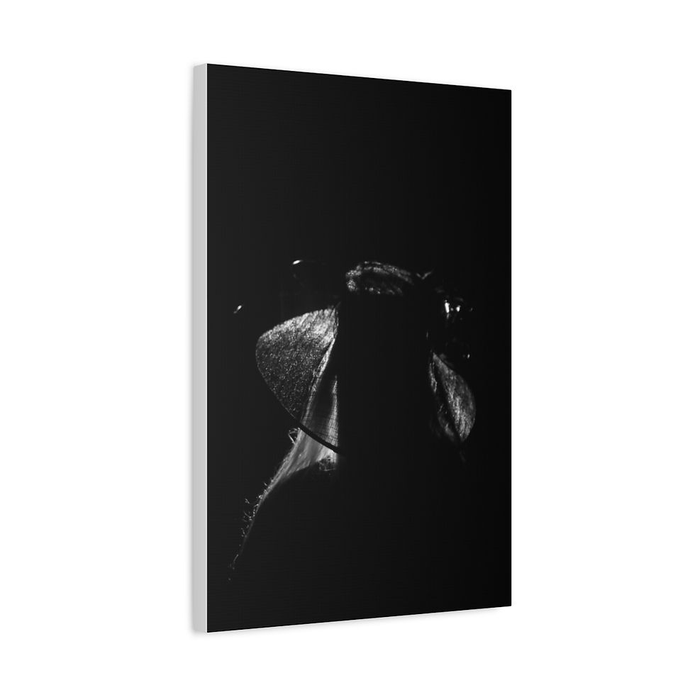 Thumbnail: Victorian Woman in A Large Hat Silhouette Matte Canvas Print Black and White