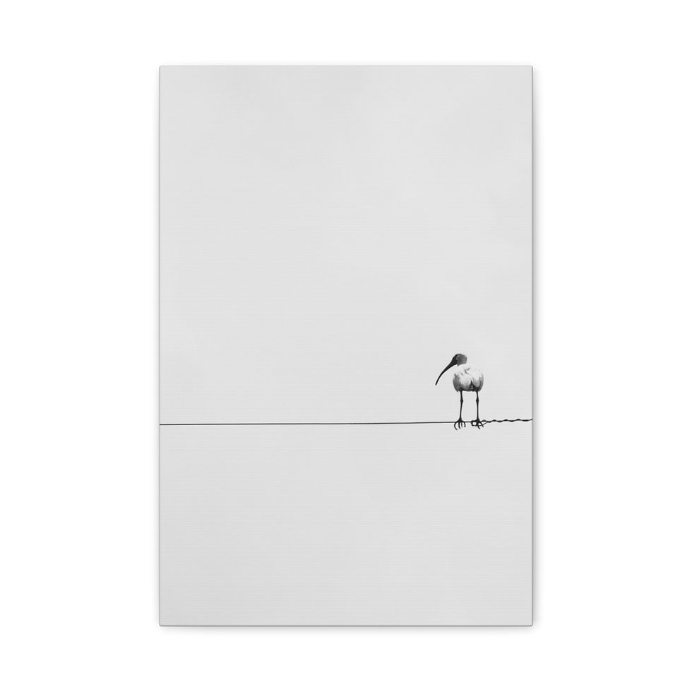 Thumbnail: Bird On A Wire Matte Canvas Print Black and White Photography Minimalist Nature
