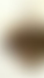 The BEST
Black Bean
Brownies EVER!