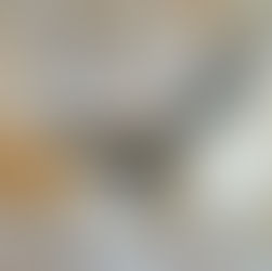 Planetary Productivity 101; Moon Cycles