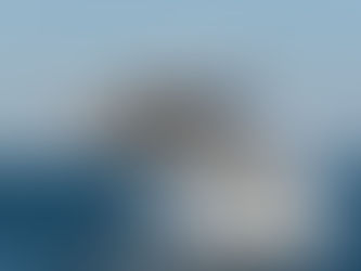 Whale Watching: June 26, 2024