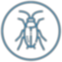 Cockroach and ant control treatment for residential property in Cebu