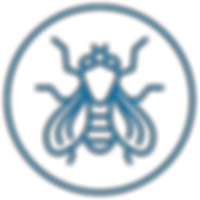 Blue flying insect logo inside a circle, Ecokil Pest Control Cebu City.