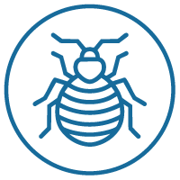 BEDBUGS.png