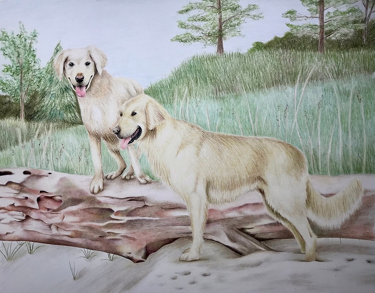 chalk pastel commission drawing by Mercedes Victoria of golden retrievers at the beach on a log family pet dog