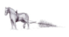HORSE AND CHRISTMAS TREE