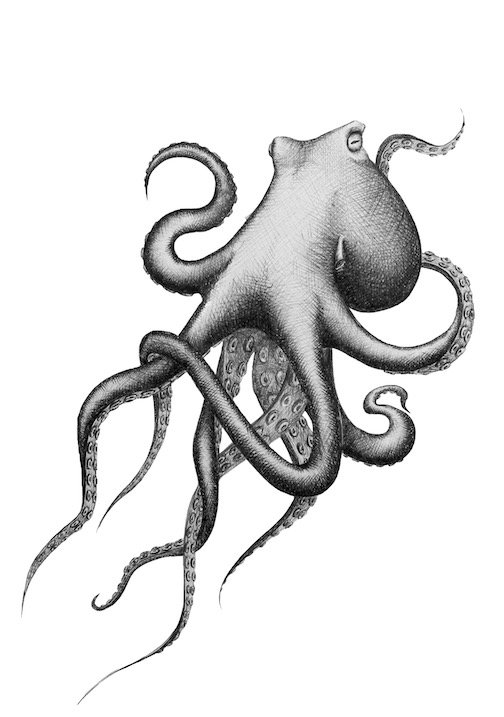 MVictoria TENTACLES low.jpeg