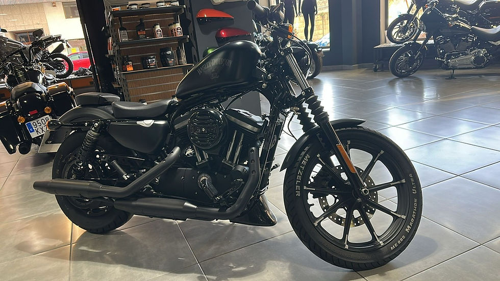 IRON 883