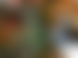 Pawsome Puppy Christmas: Tips for a Save and Festive Holiday Season!