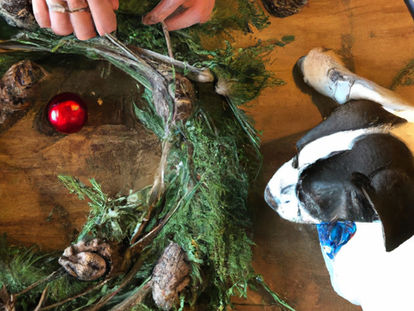 Pawsome Puppy Christmas: Tips for a Save and Festive Holiday Season!