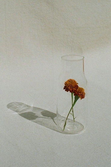 unknown-4.jpg
