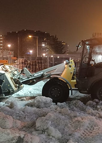 asfaltering garasjevask graving fasadevask snørydding snømåking brøyting riving oljetank parafintank feiing fjerne tagging ferdigplen pen oppkjørsel hekk trefelling vårrengjøring