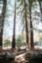 Victoria+Kevin_RAWM-183.jpg