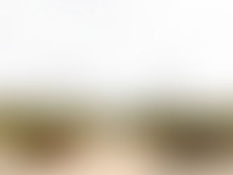 Create Your Unforgettable Napa & Sonoma Wine Country Wedding