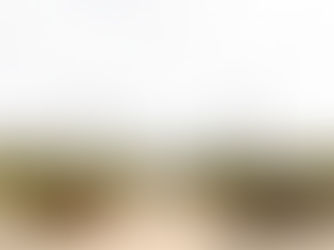 Create Your Unforgettable Napa & Sonoma Wine Country Wedding