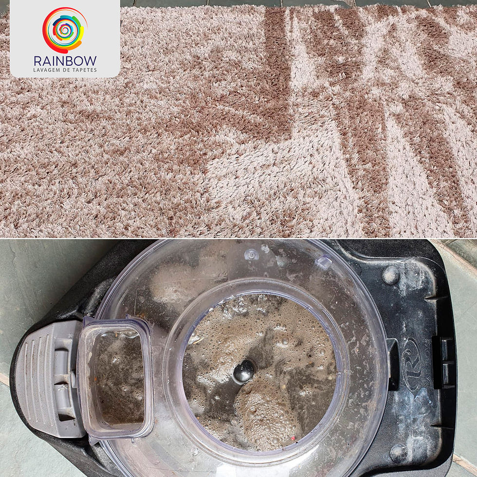 Imagem mostrando os resíduos removidos de um tapete com o uso do equipamento Rainbow®