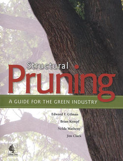 Manual: Structural Pruning