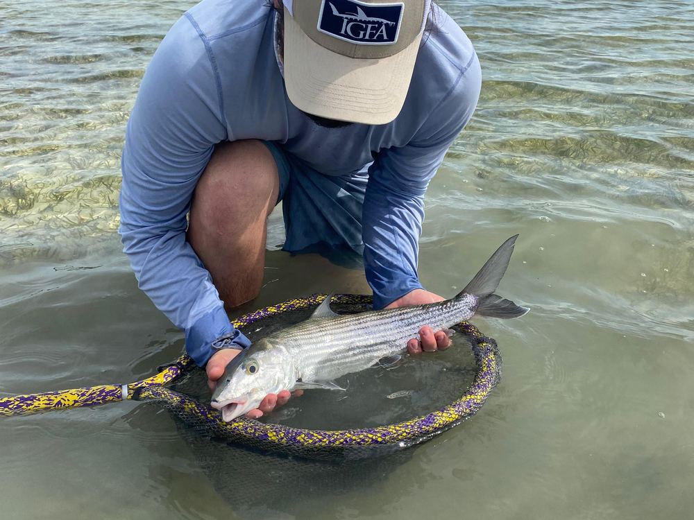 Bonefish netted on a Fish-In/Fish-Out charter