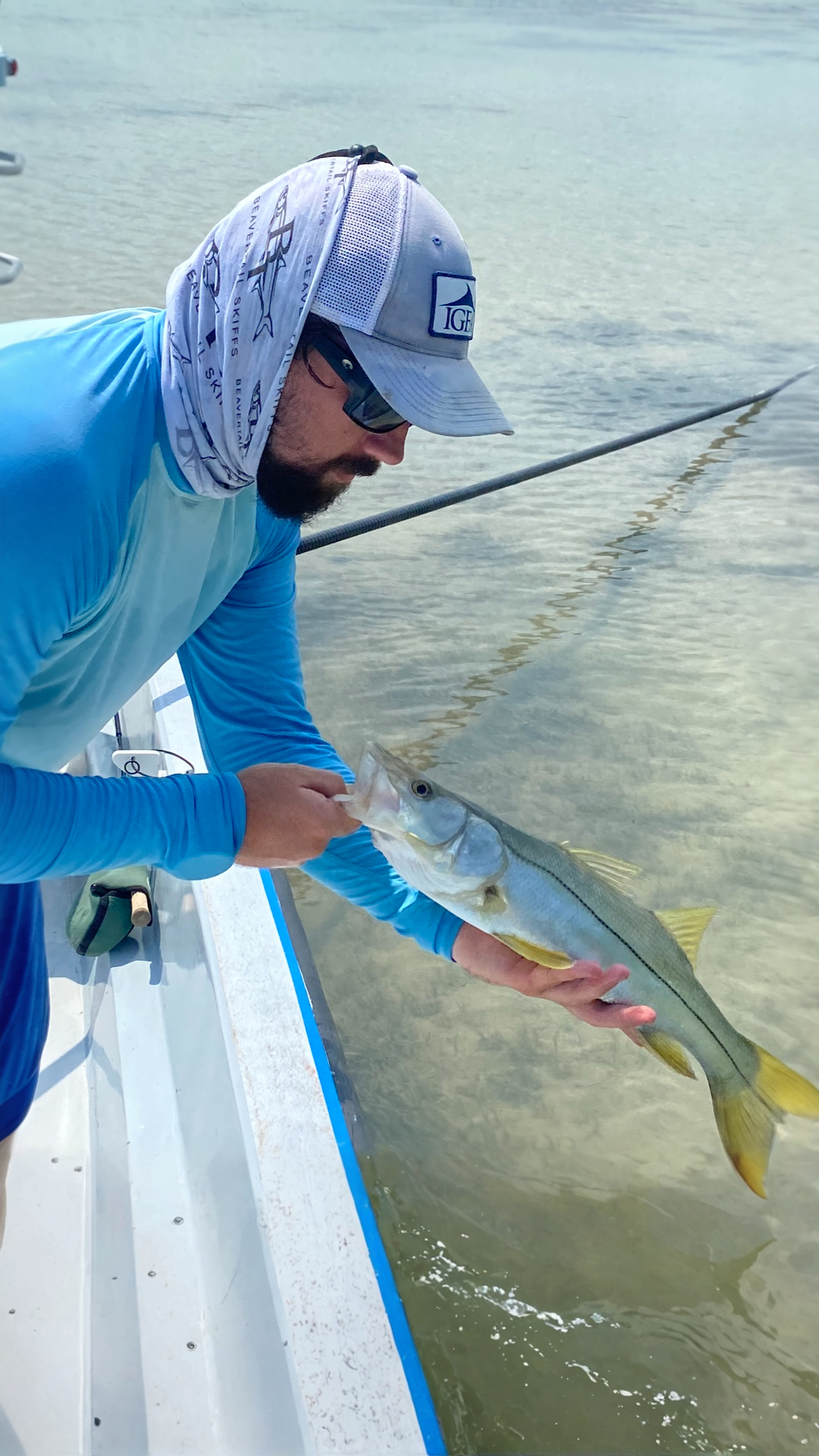 Angler holding a snook near the mangroves