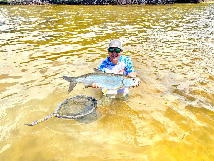 Guide holding a tarpon in golden river water