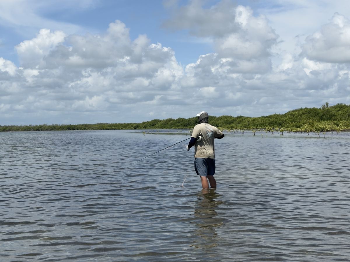 Angler wading a mainland flat