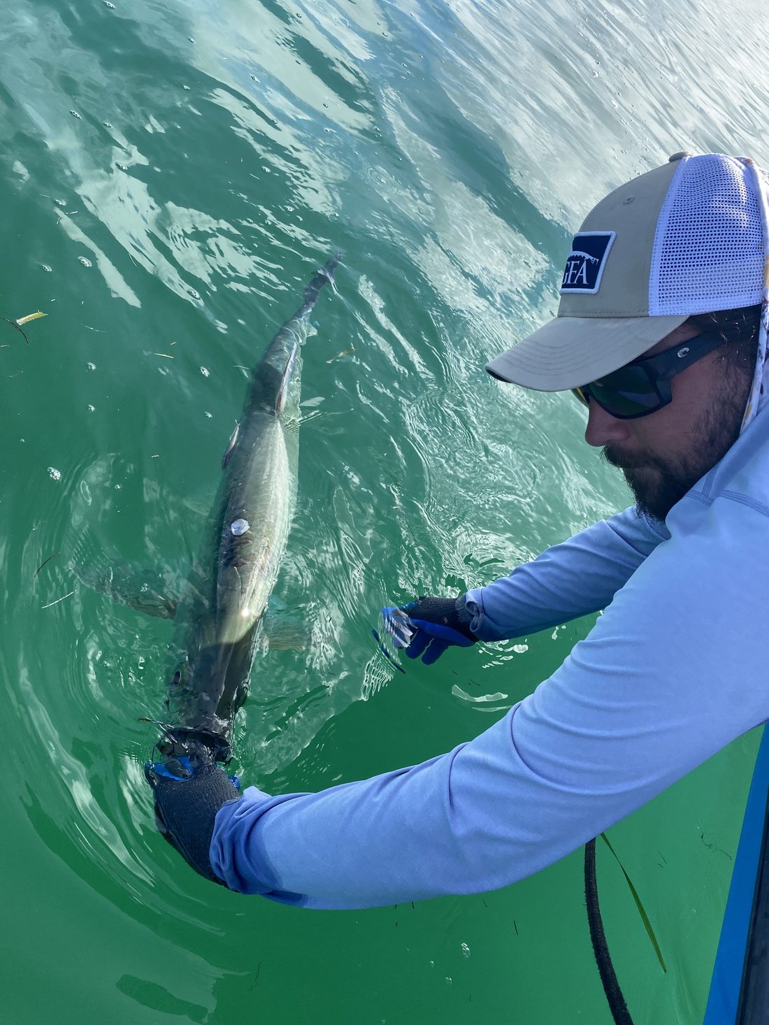 Will releasing a fish in Belize