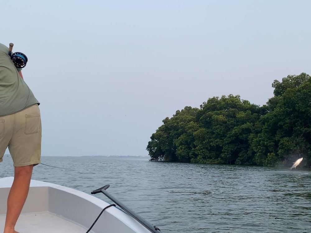 Angler with a tarpon on a full day charter