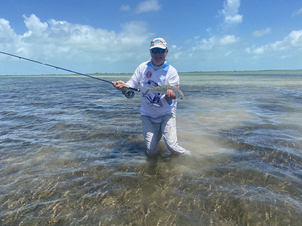 Permit caught in Belize