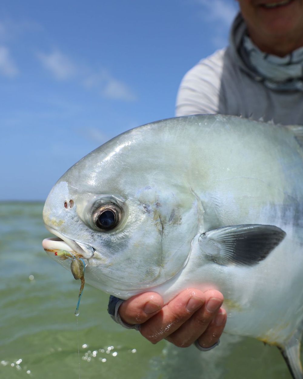 Permit held up close before release