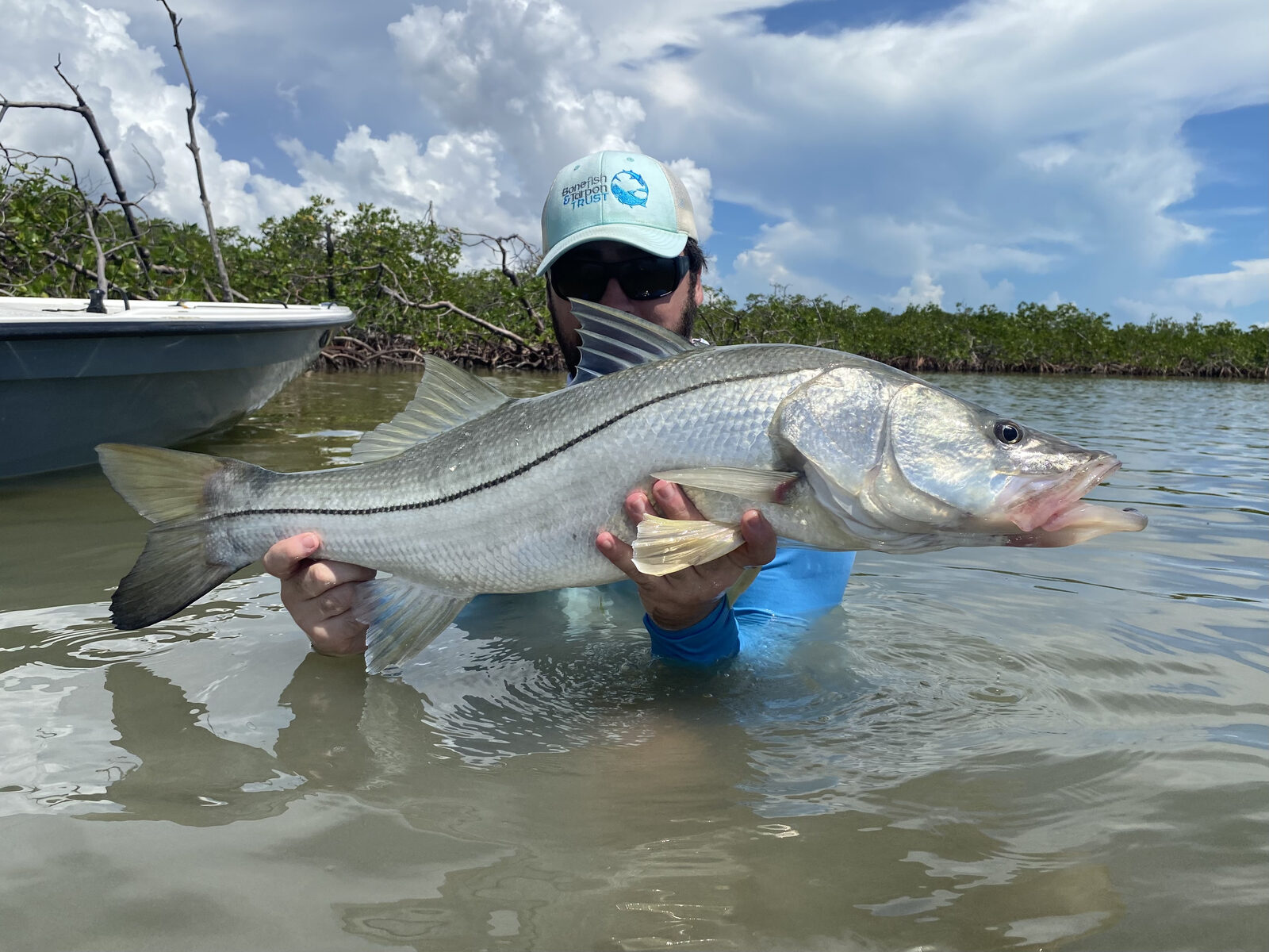 Angler holding a snook in the mangroves