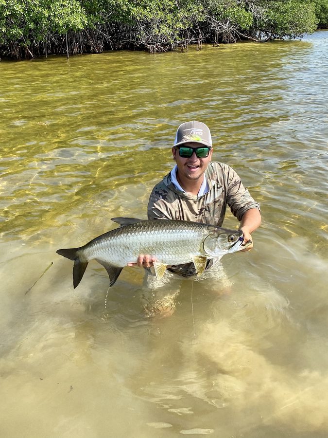 Angler with a tarpon caught among the mangroves
