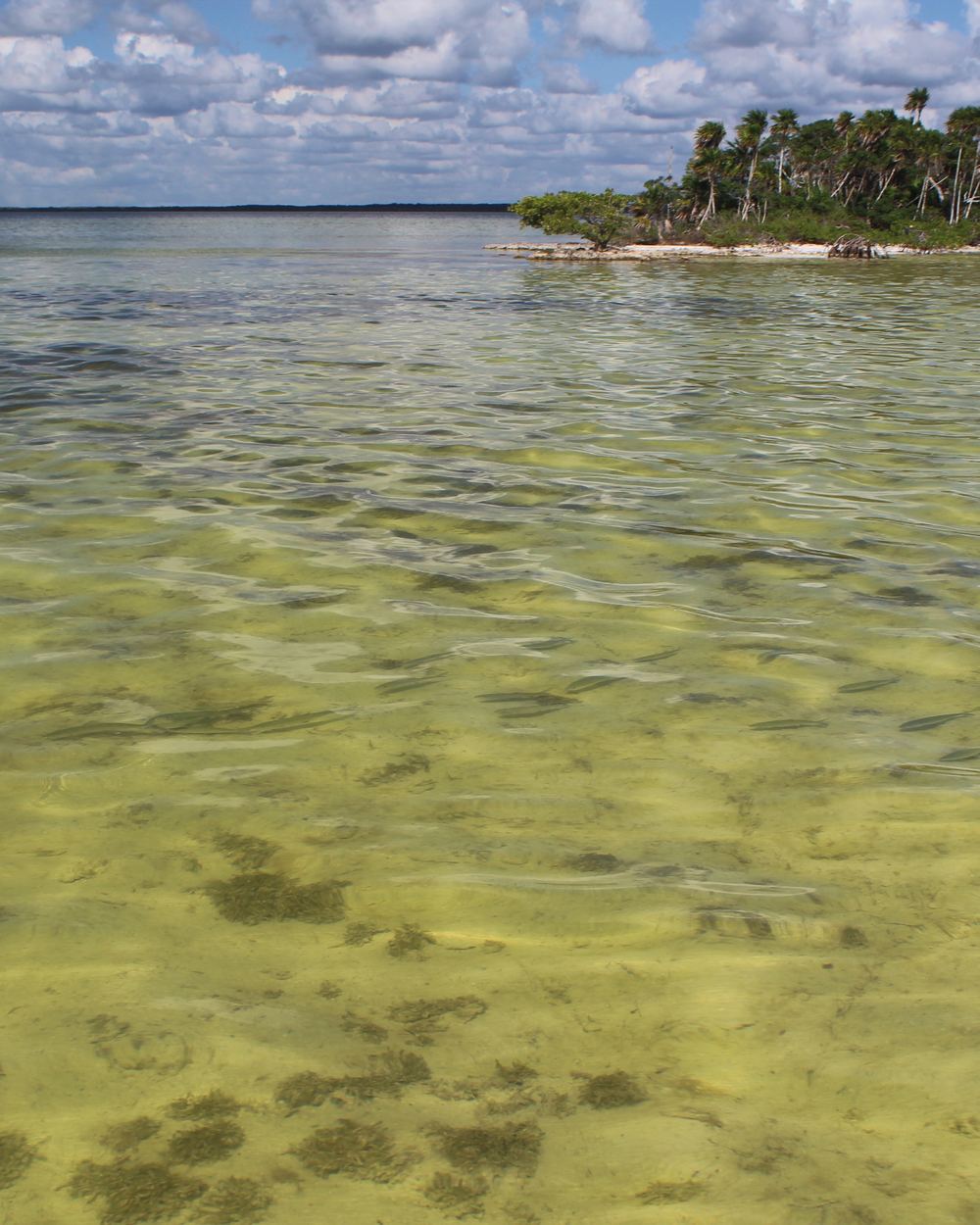 A remote island within our fishing range