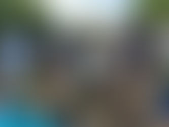 入賞作品が苗木に、親子で参加するマングローブ植樹活動を実施