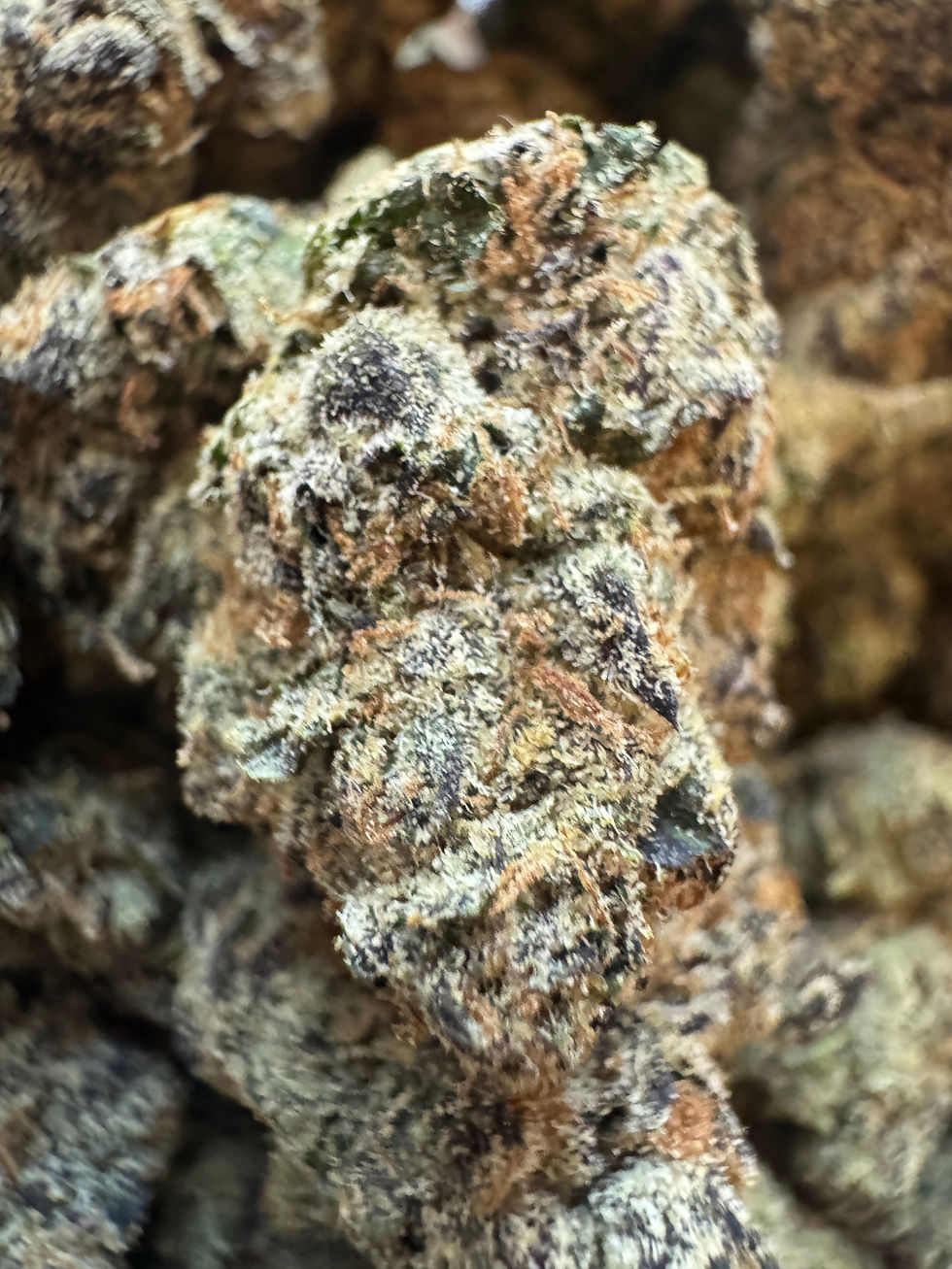 Ben + Cherries (sticker)