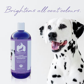 COAT ENHANCEMENT SHAMPOO