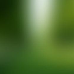 The Importance of Carbon-Negative Farming Practices