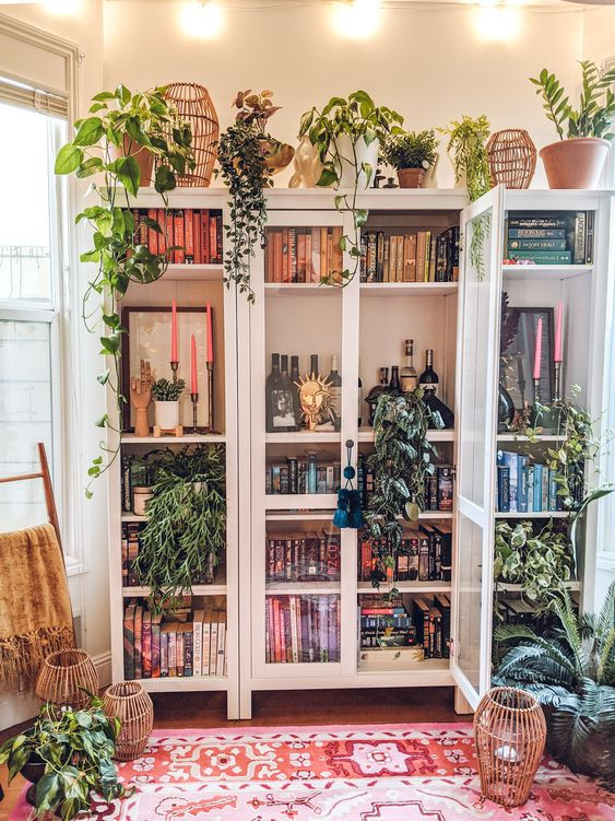 Smart vertical solution for book storage and plants storage