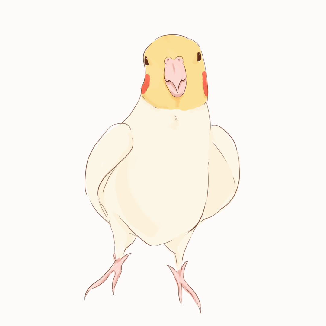 cockatiel shine 1.gif