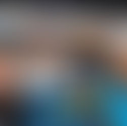 See, Feel, Understand: Thoughts on the NTDC