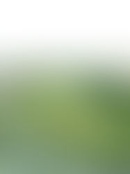 [2022] 경기도 지방정원 조성사업