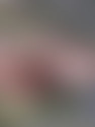 [2018] YRP포병여단 통합본부 건설공사