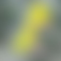 [2022] 양산시 북정배수구역 도시침투예방사업