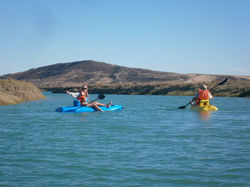 12799078_1695361207382286_8488180209363302320_n